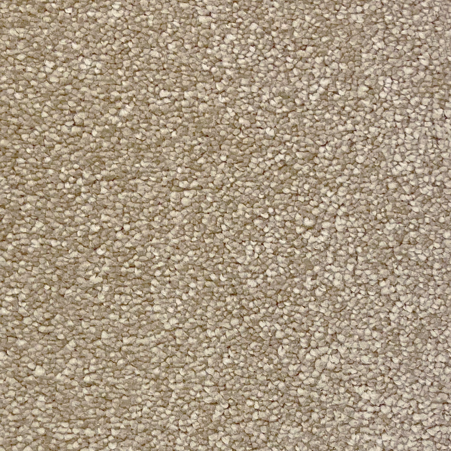 Associated Weavers Invictus Orion Frieze Twist Carpet