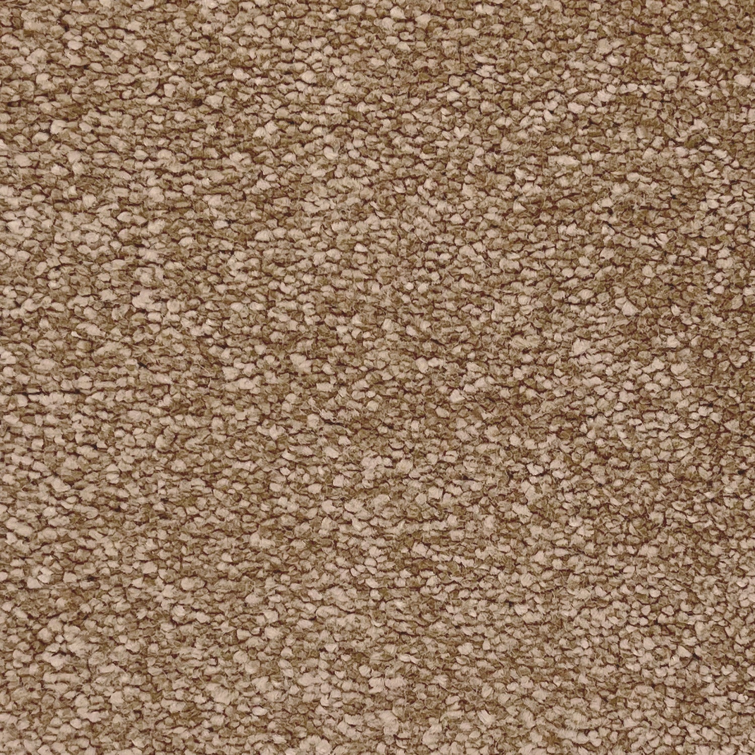 Associated Weavers Invictus Orion Frieze Twist Carpet