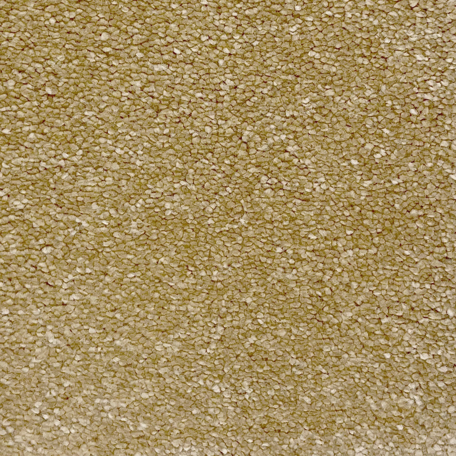 Associated Weavers Invictus Orion Frieze Twist Carpet