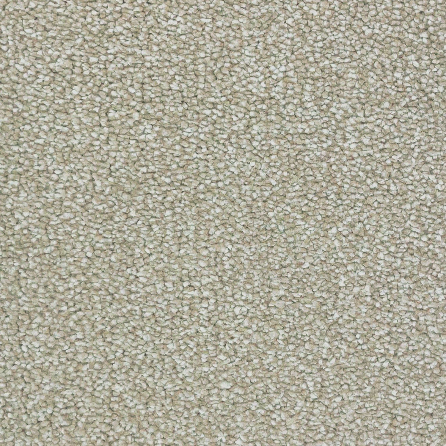 Associated Weavers Invictus Septimus Frieze Twist Carpet