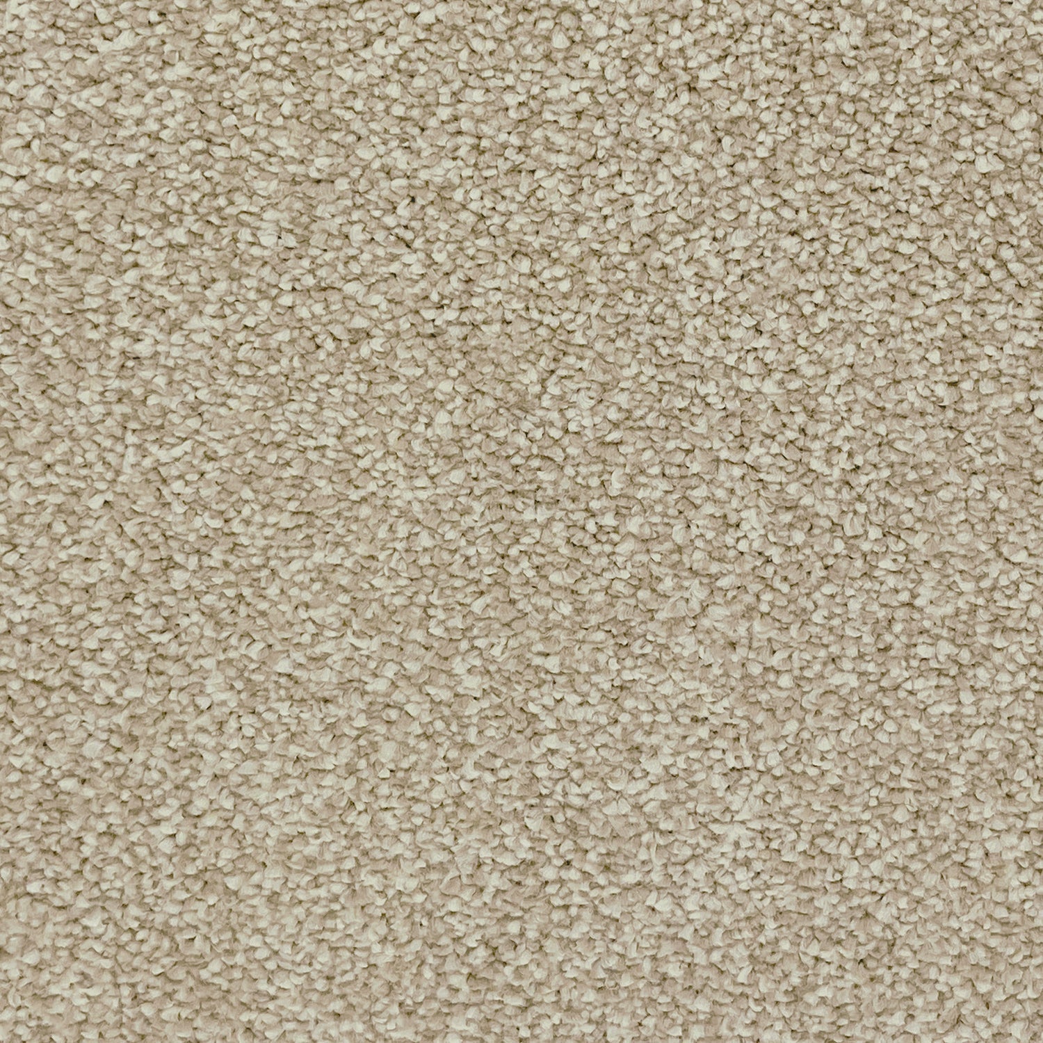 Associated Weavers Invictus Septimus Frieze Twist Carpet