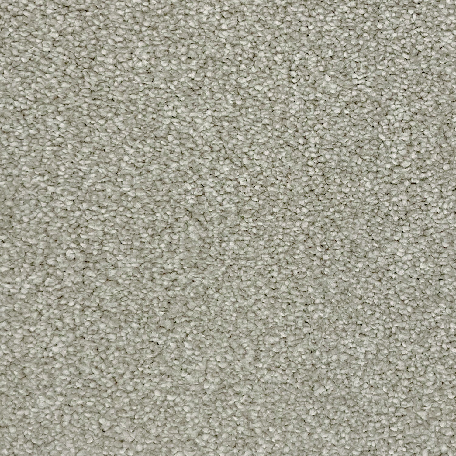 Associated Weavers Invictus Septimus Frieze Twist Carpet