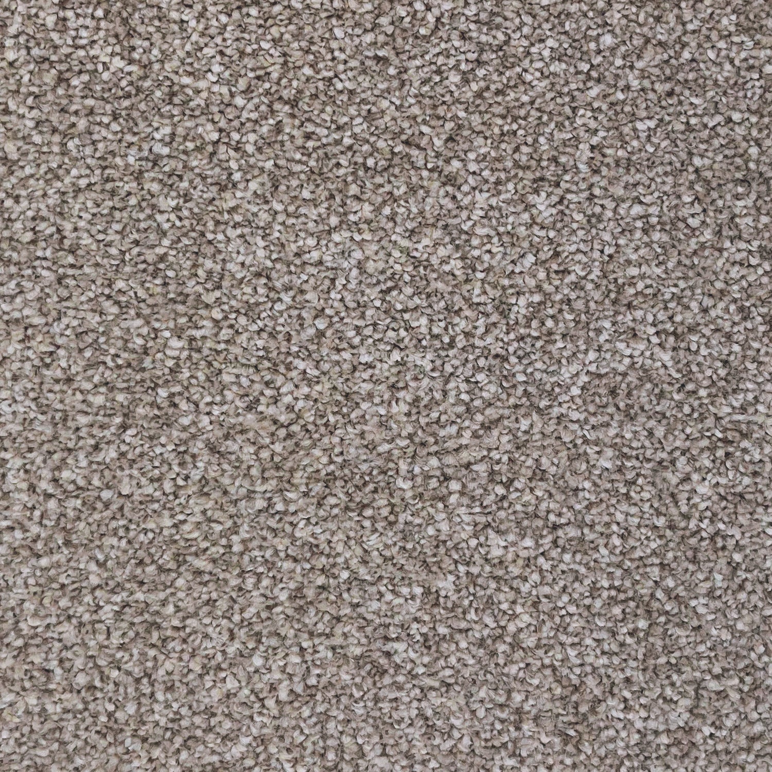 Associated Weavers Invictus Severus Saxony Carpet