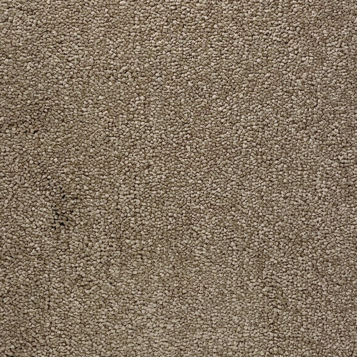 Associated Weavers Invictus Taurus Twist Carpet