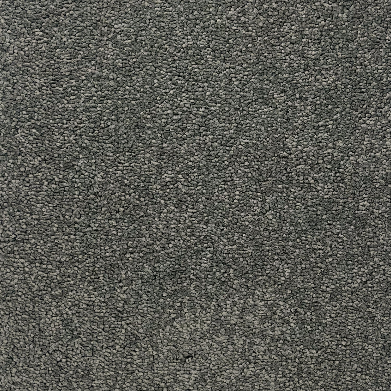 Associated Weavers Invictus Taurus Twist Carpet