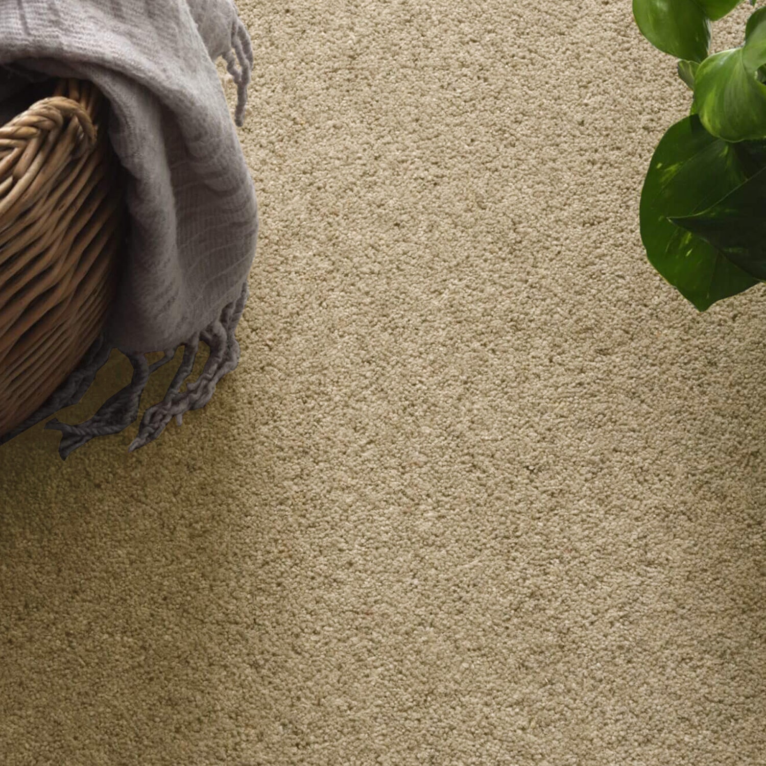 Kingsmead 50oz Vitronic Berber 80% Wool Blend Twist Carpet