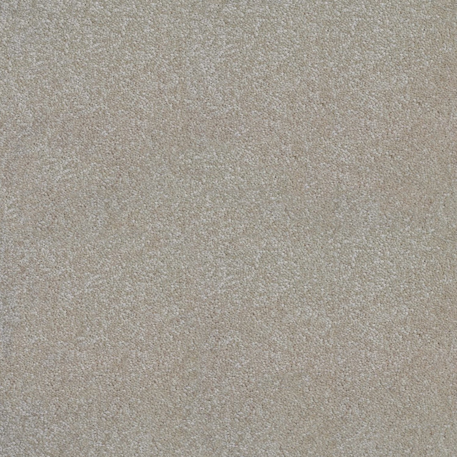 Kingsmead Awesome (Silver) Twist Carpet