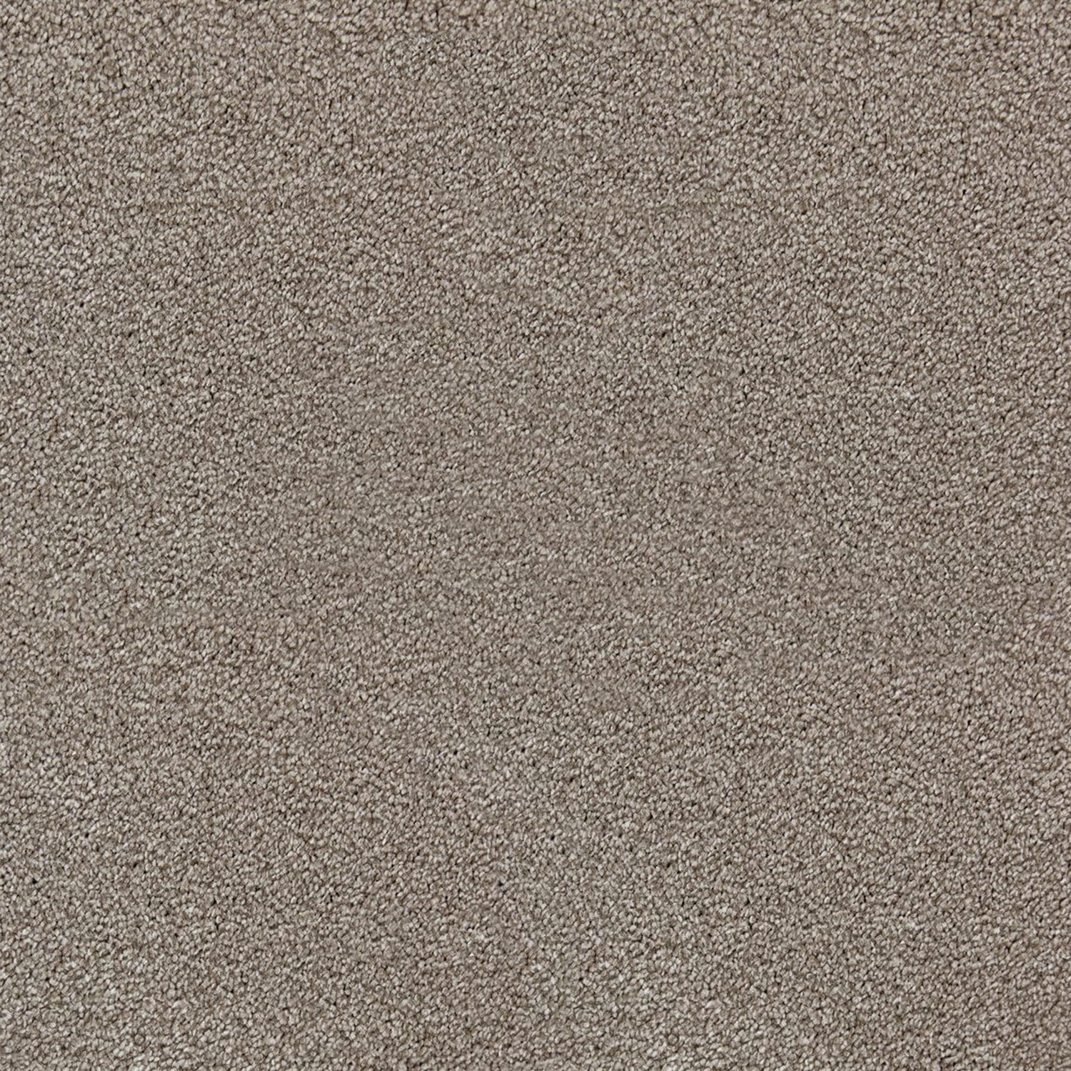 Kingsmead Bliss Saxony Carpet