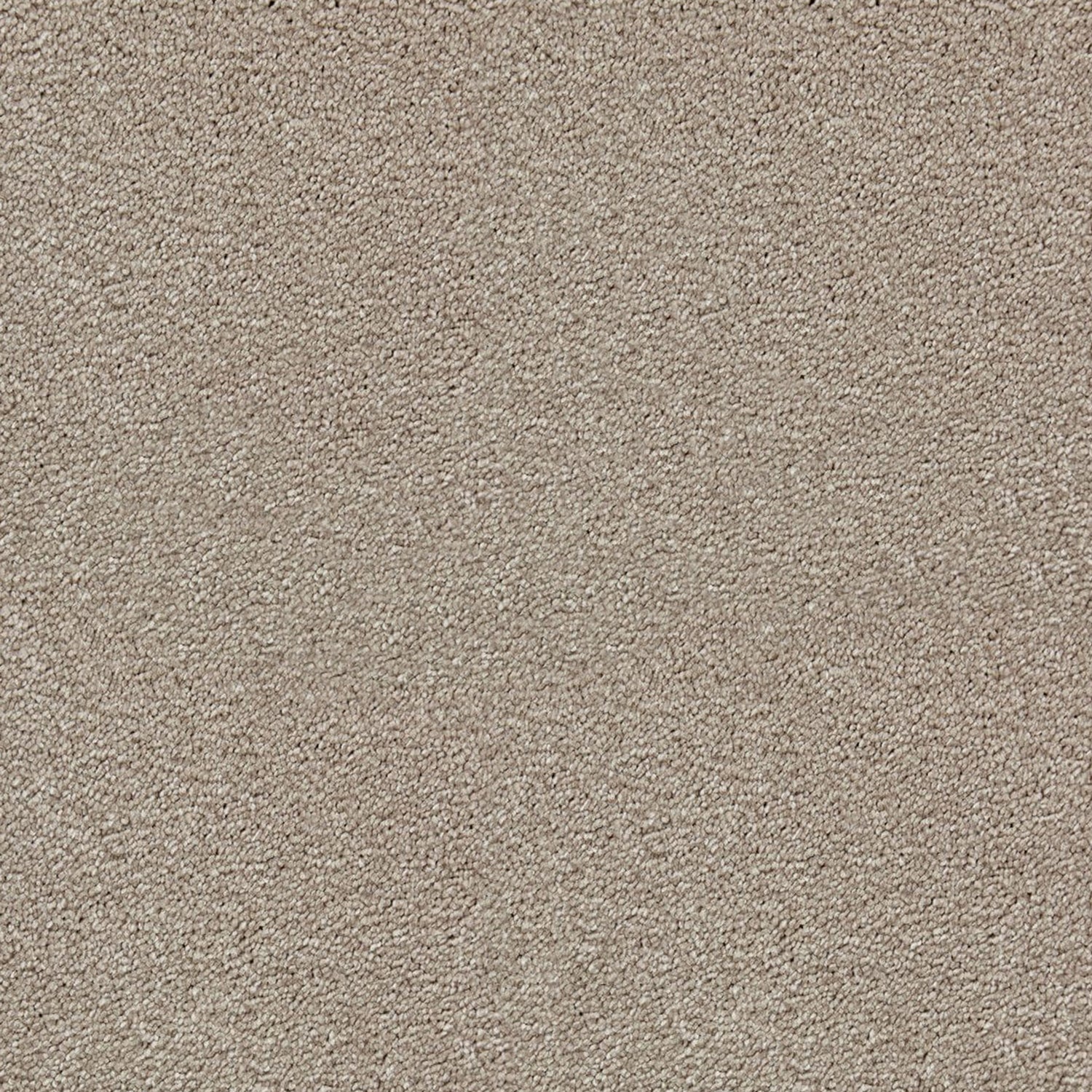Kingsmead Bliss Saxony Carpet