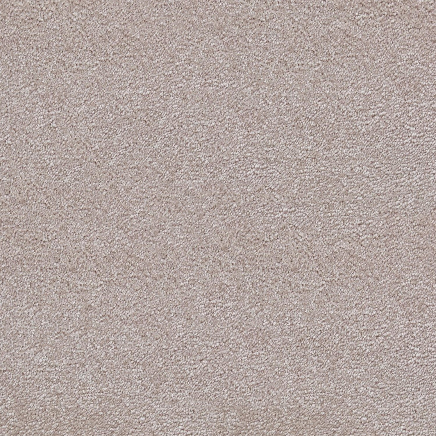Kingsmead Bliss Saxony Carpet