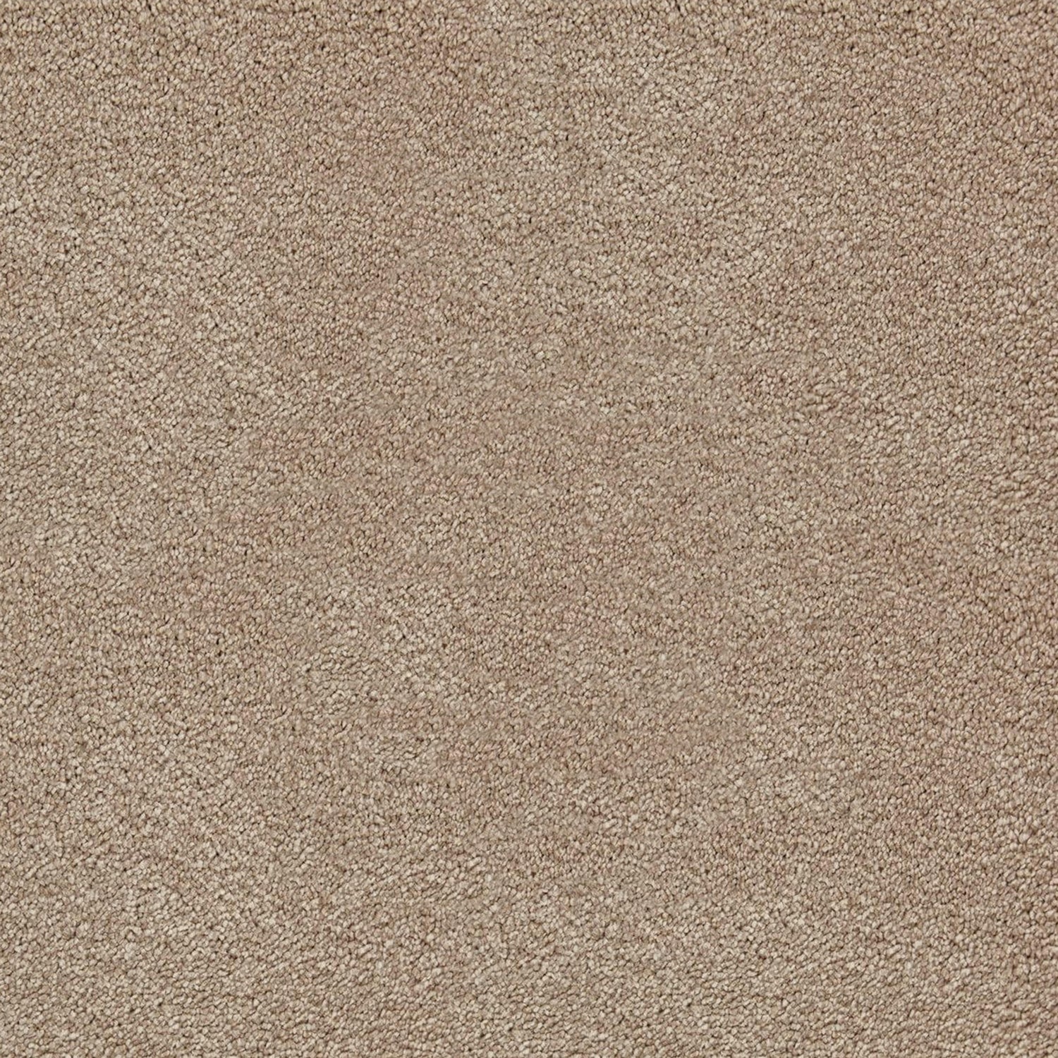 Kingsmead Bliss Saxony Carpet