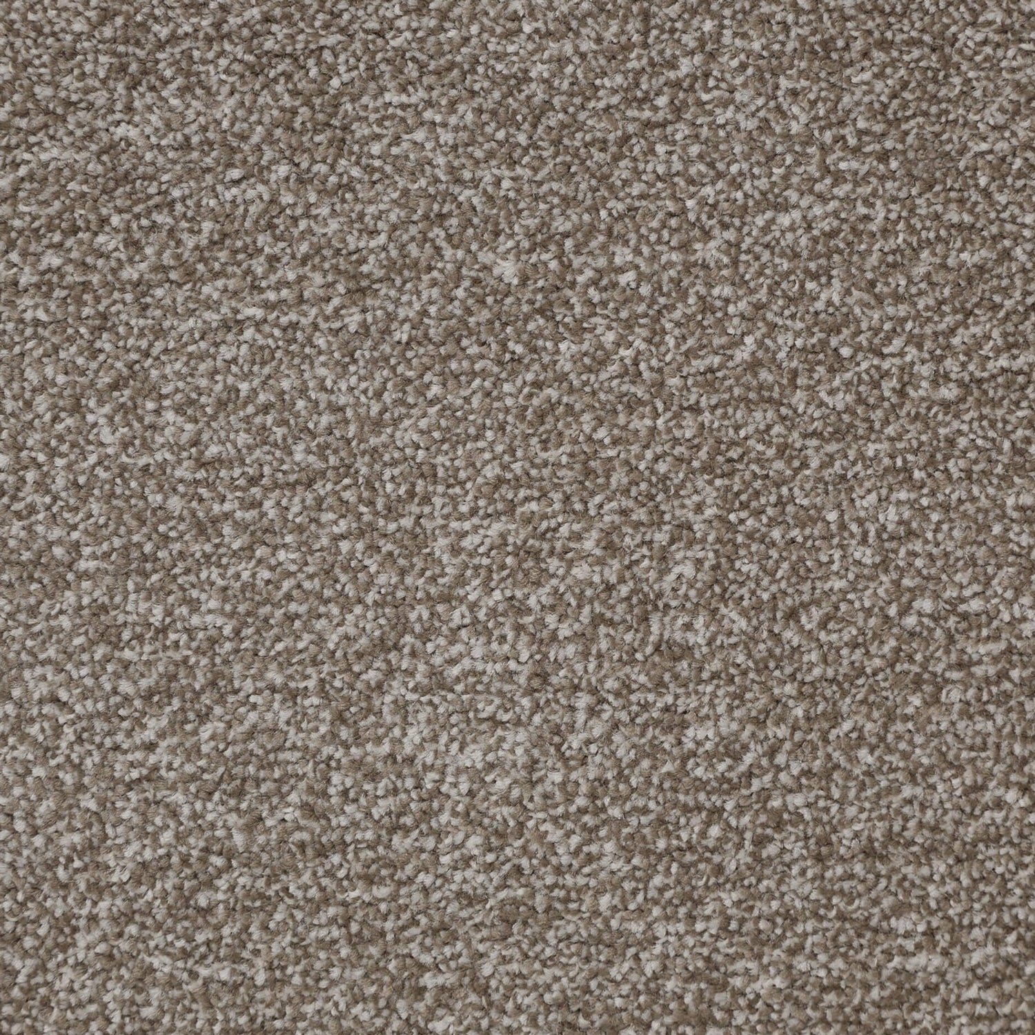 Kingsmead Fantastic Plus Twist Carpet