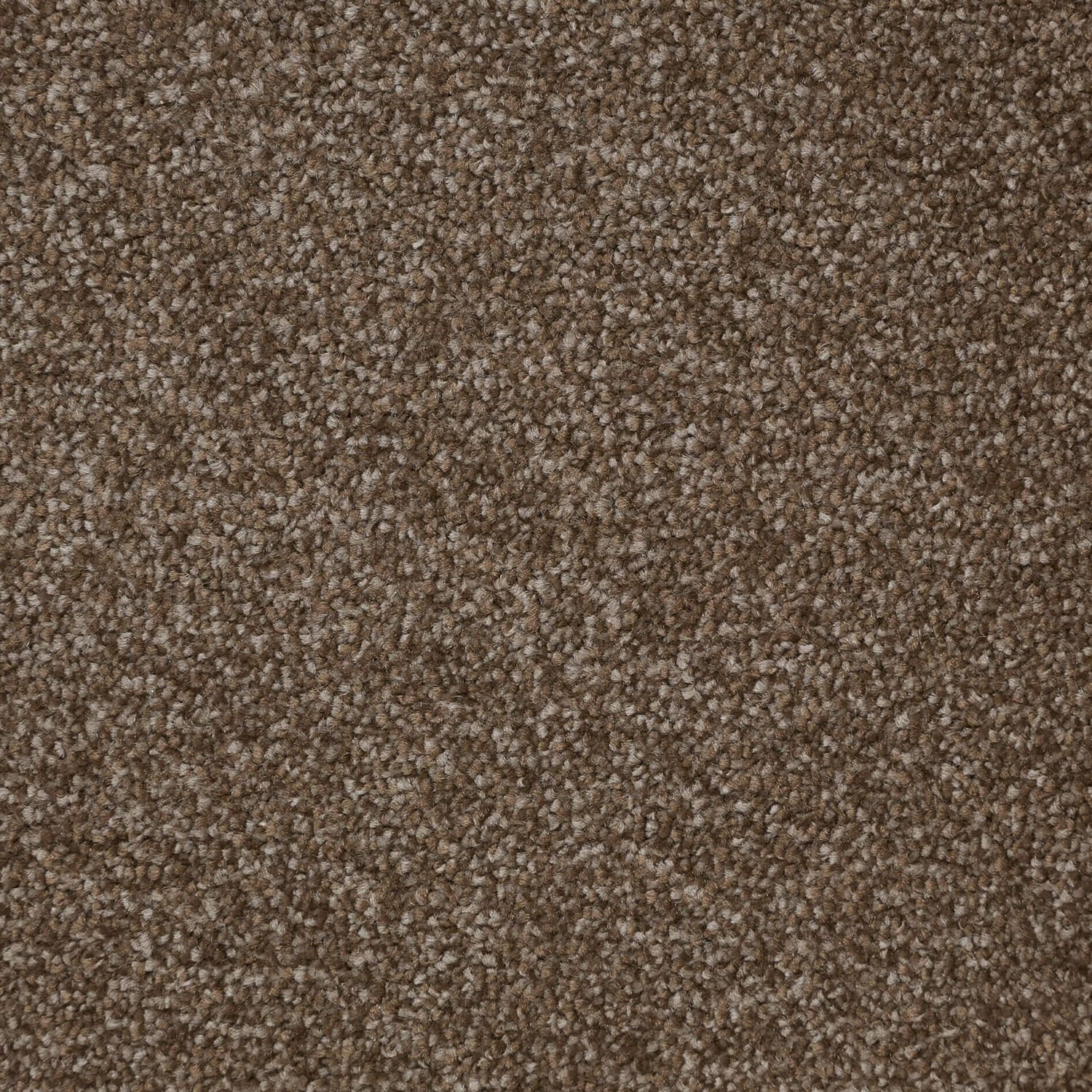 Kingsmead Fantastic Plus Twist Carpet
