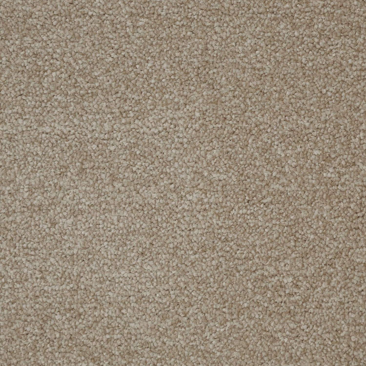 Kingsmead Fantastic Standard Twist Carpet
