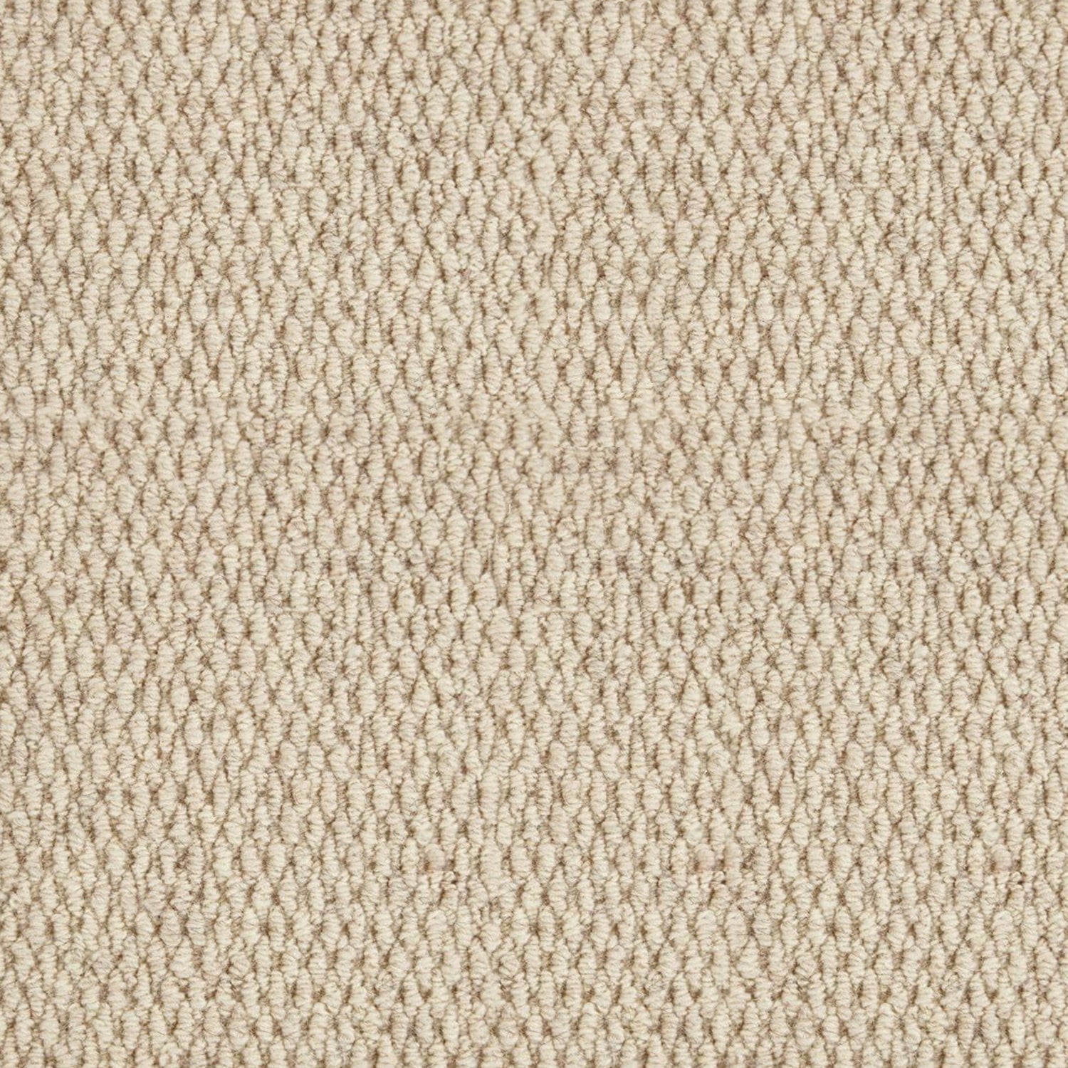 Kingsmead New Berber Attraction Kalahari 50% Wool Blend Loop Carpet
