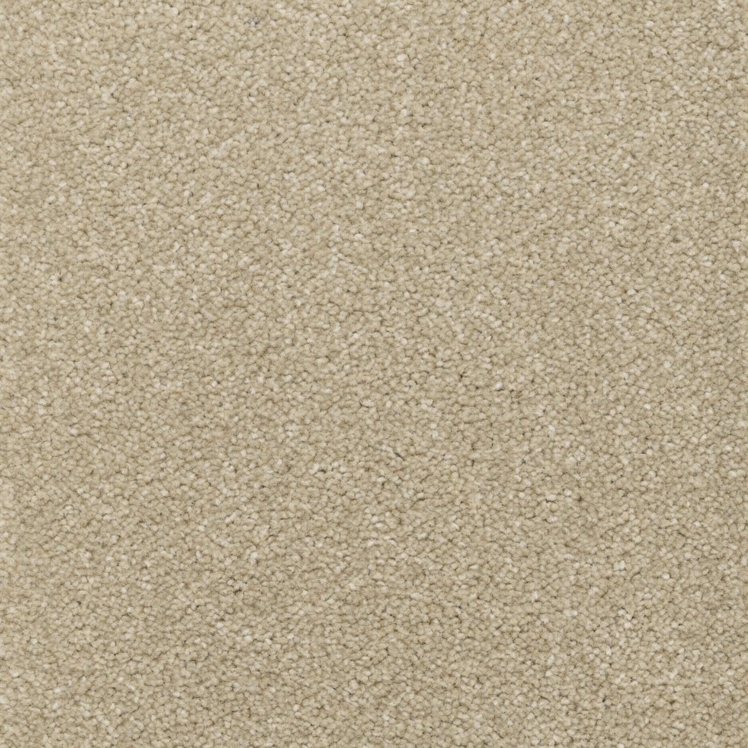 Kingsmead Tranquility (Platinum) Twist Carpet