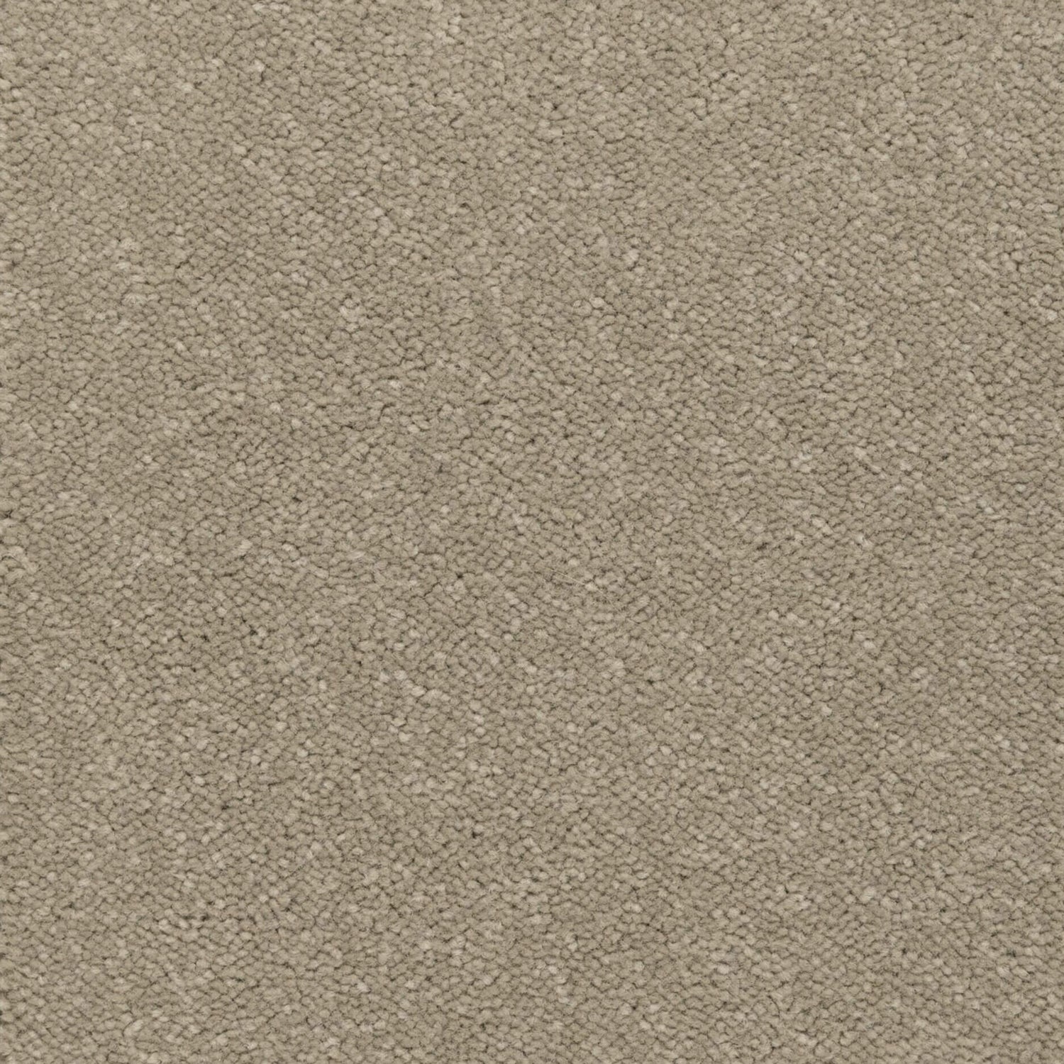 Kingsmead Tranquility (Platinum) Twist Carpet