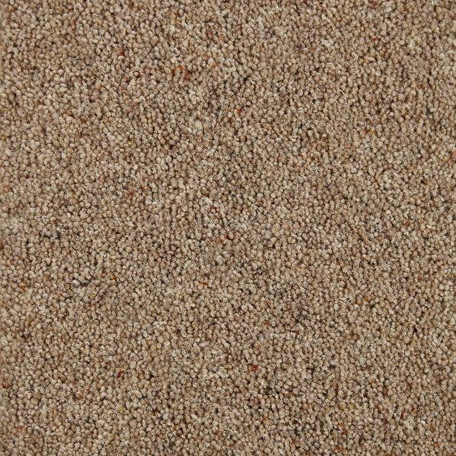 Kingsmead 50oz Vitronic Berber 80% Wool Blend Twist Carpet