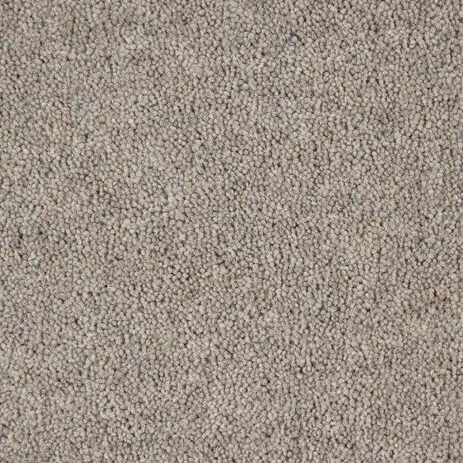 Kingsmead 40oz Weald Park Platinum 80% Wool Blend Twist Carpet