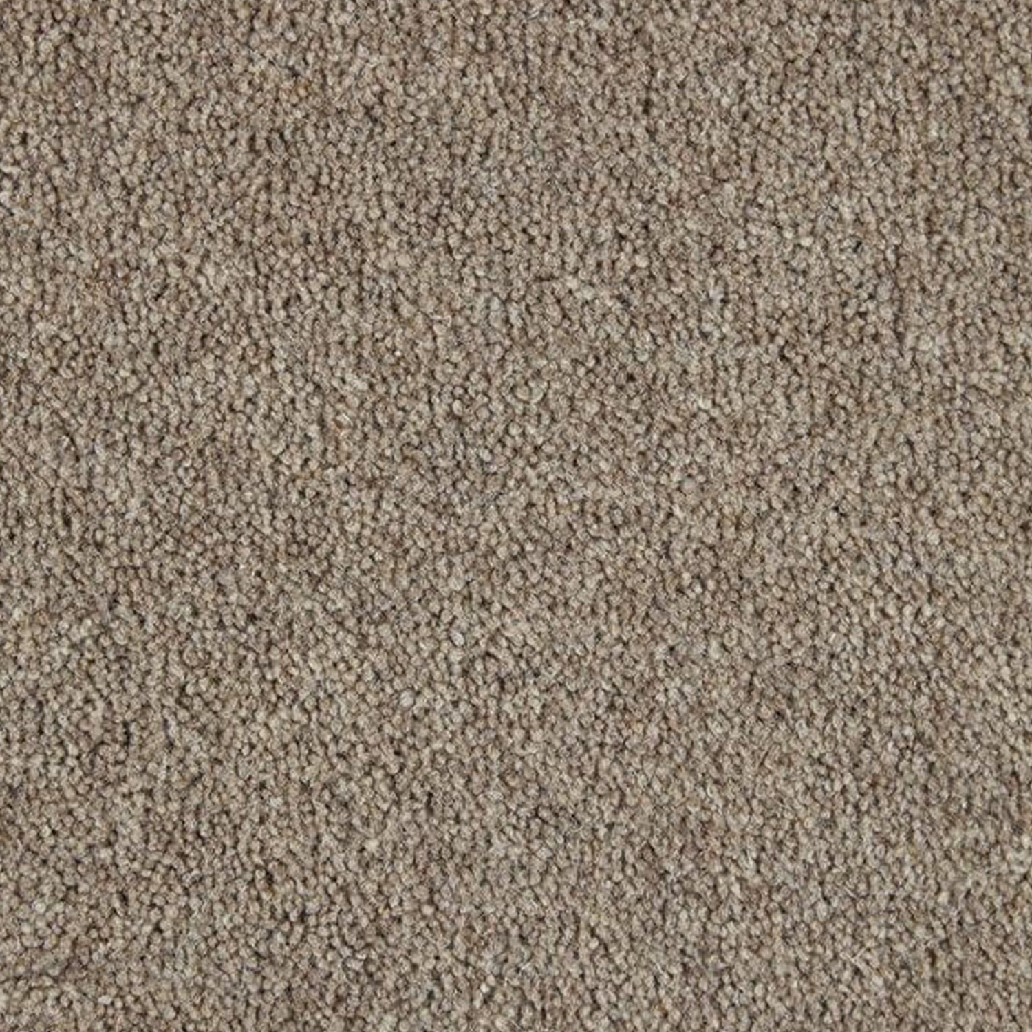 Kingsmead 40oz Weald Park Platinum 80% Wool Blend Twist Carpet