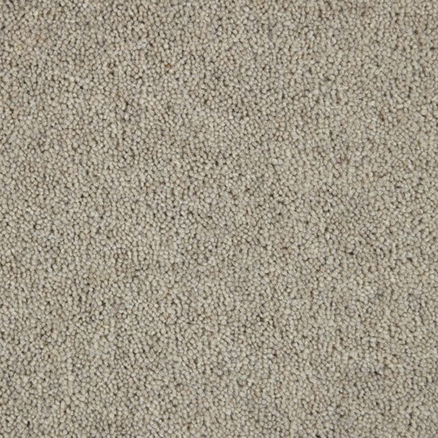 Kingsmead 40oz Weald Park Platinum 80% Wool Blend Twist Carpet