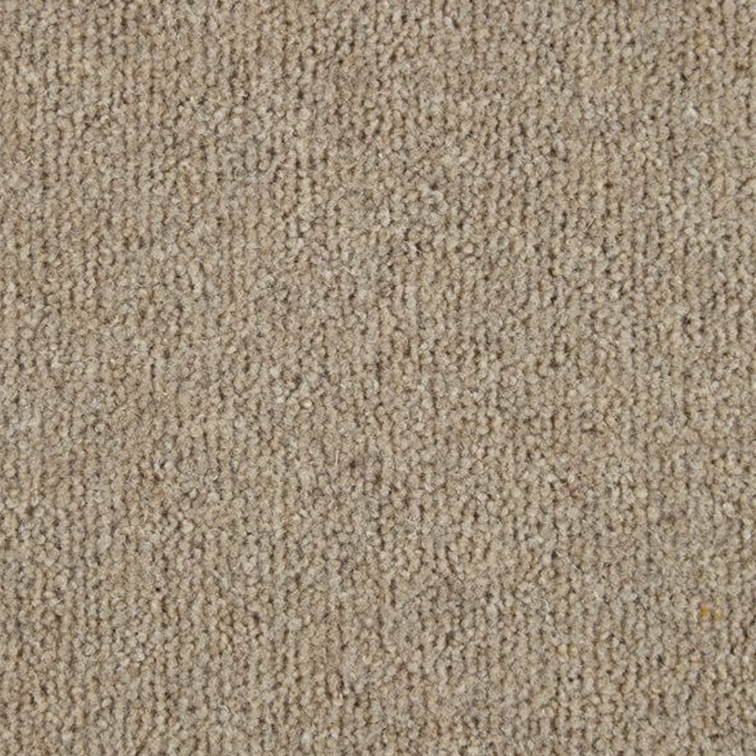 Kingsmead 40oz Weald Park Platinum 80% Wool Blend Twist Carpet