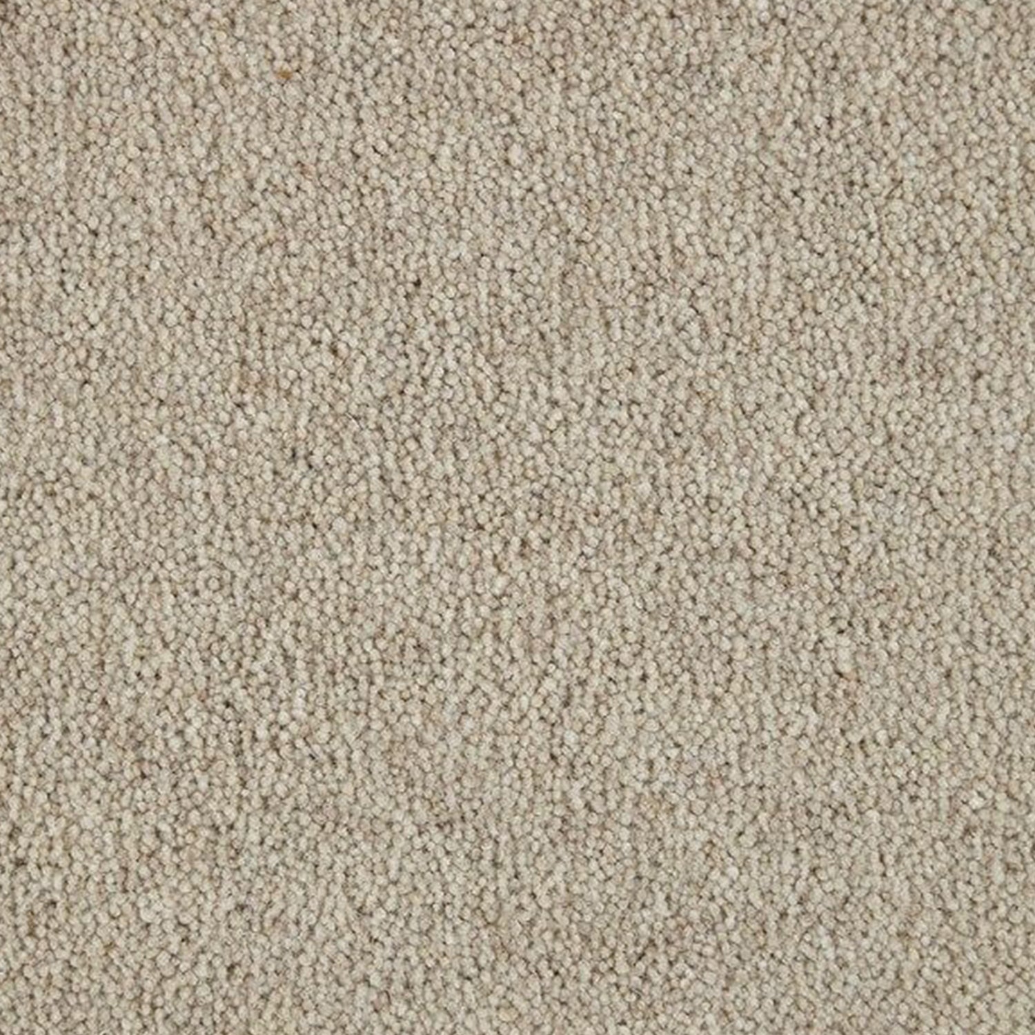 Kingsmead 40oz Weald Park Platinum 80% Wool Blend Twist Carpet