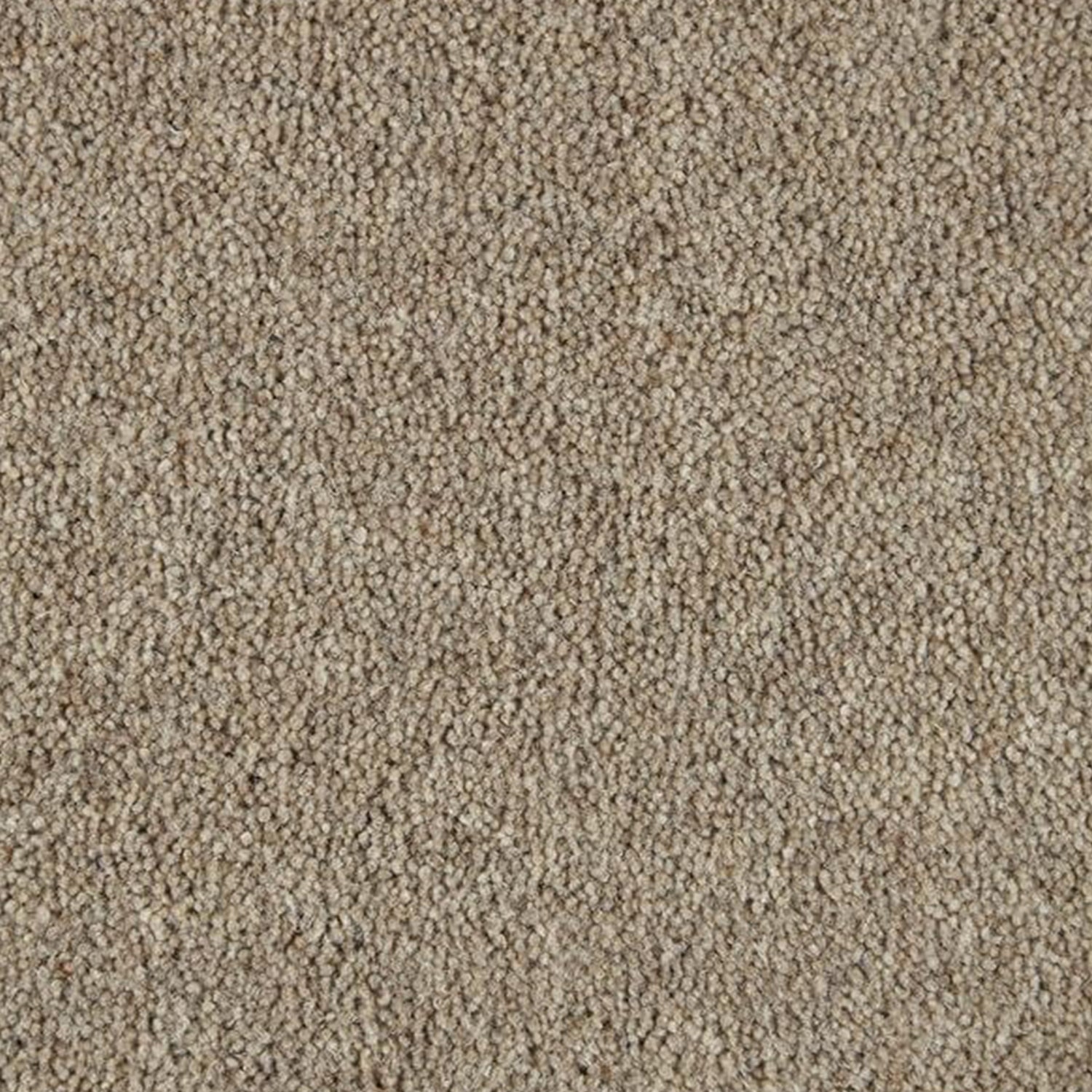 Kingsmead 40oz Weald Park Platinum 80% Wool Blend Twist Carpet