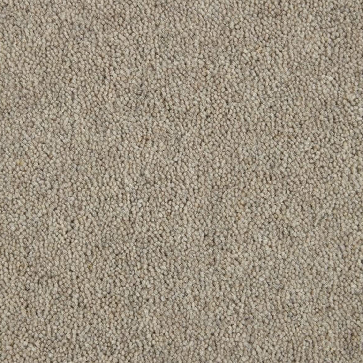 Kingsmead 40oz Weald Park Platinum 80% Wool Blend Twist Carpet