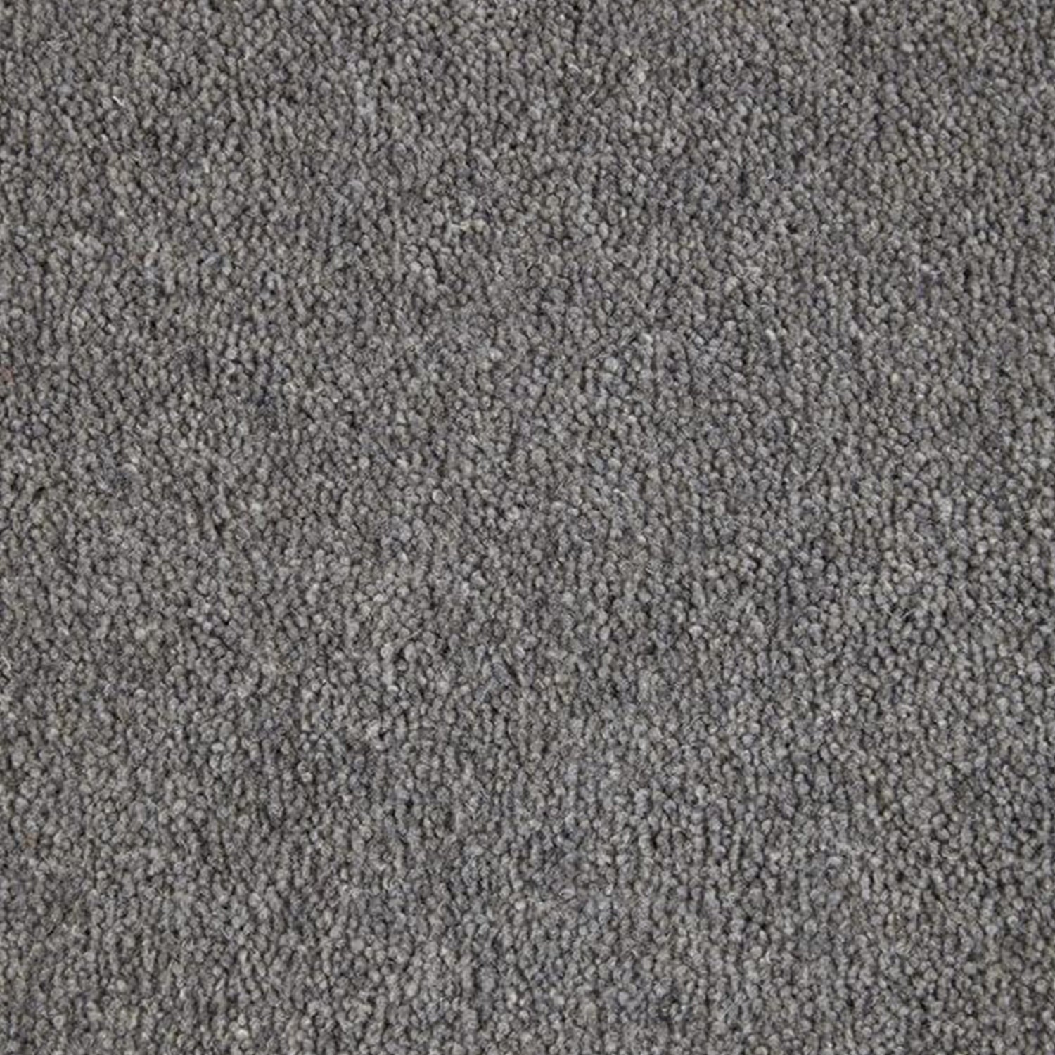 Kingsmead 40oz Weald Park Platinum 80% Wool Blend Twist Carpet