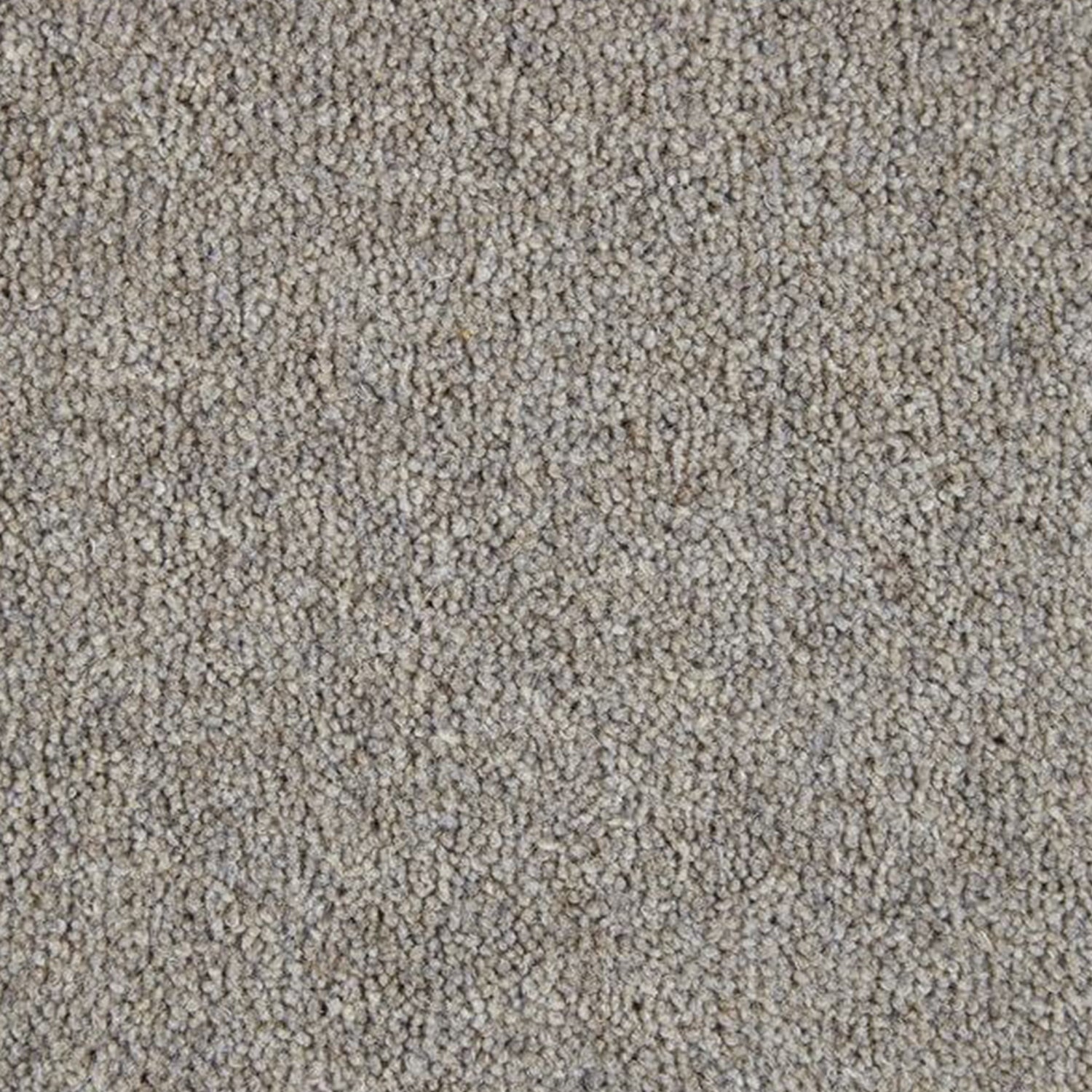 Kingsmead 40oz Weald Park Platinum 80% Wool Blend Twist Carpet