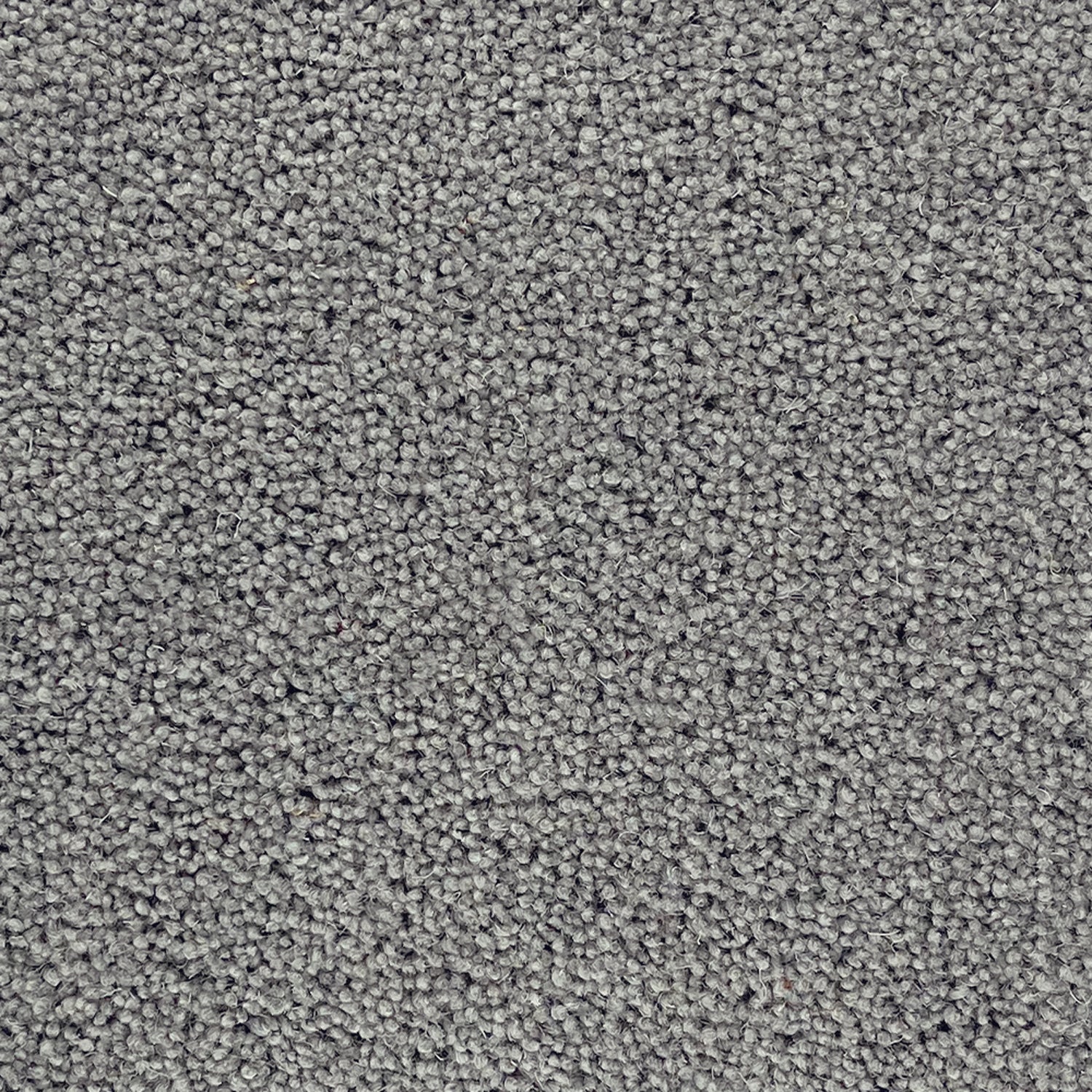 Lifestyle Floors Summit Twist Exclusive 80% Wool Twist Carpet