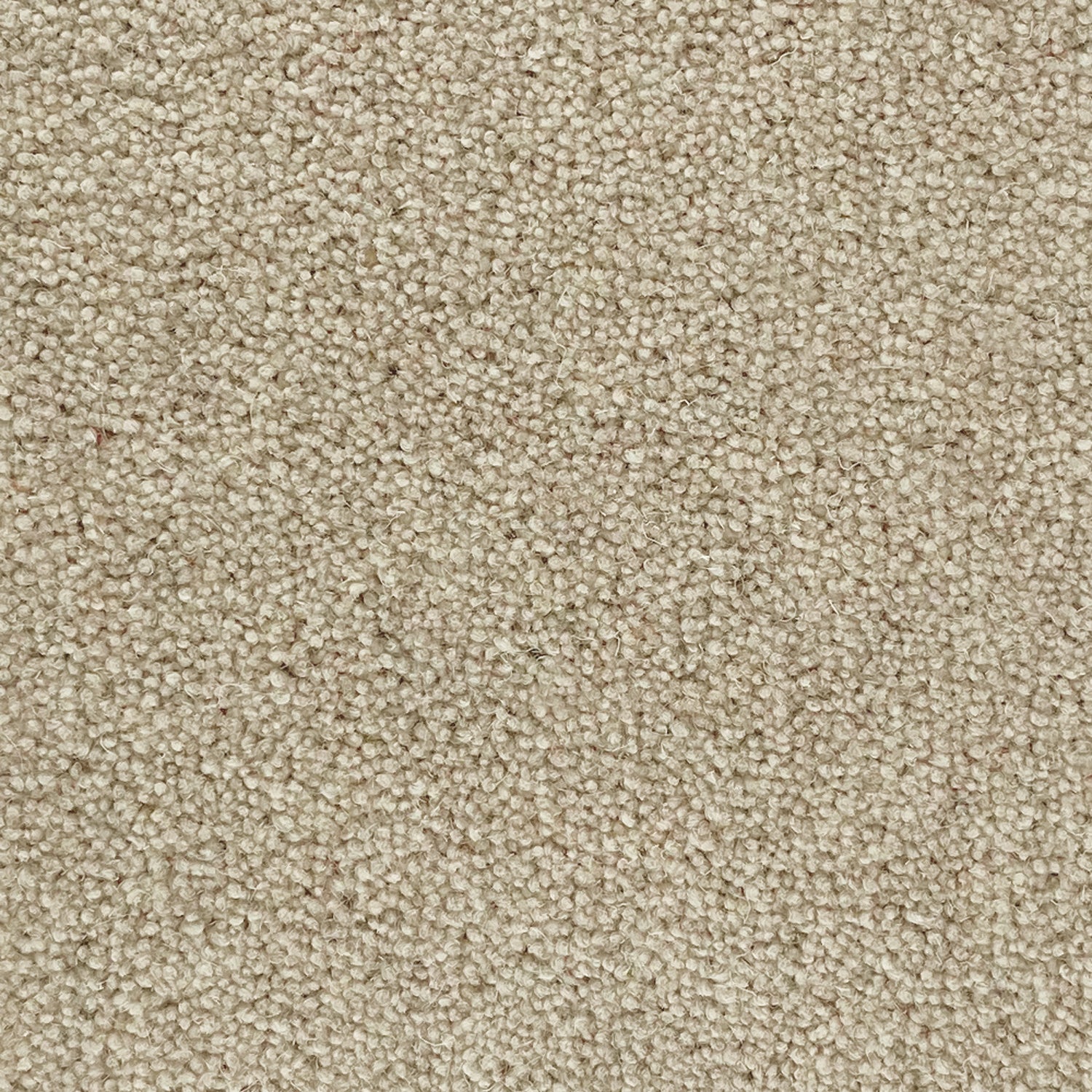 Lifestyle Floors Summit Twist Exclusive 80% Wool Twist Carpet