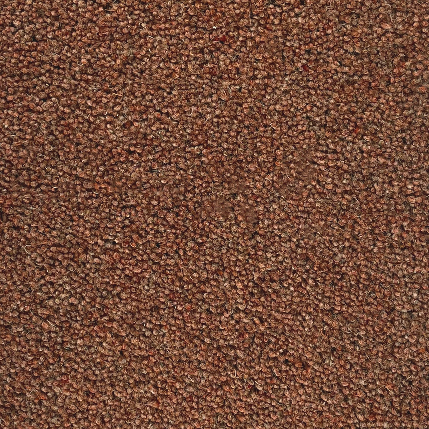 Lifestyle Floors Summit Twist Exclusive 80% Wool Twist Carpet