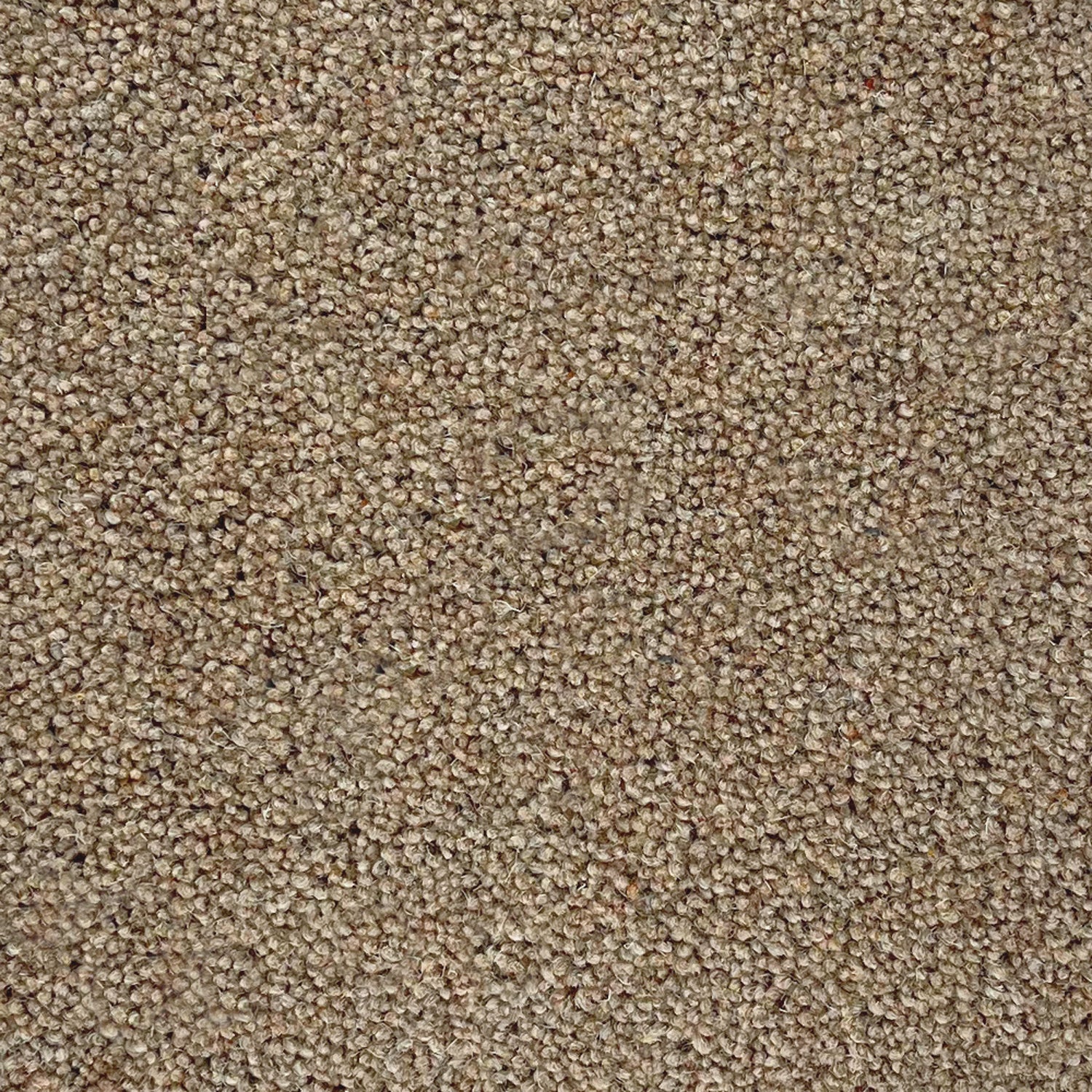 Lifestyle Floors Summit Twist Exclusive 80% Wool Twist Carpet