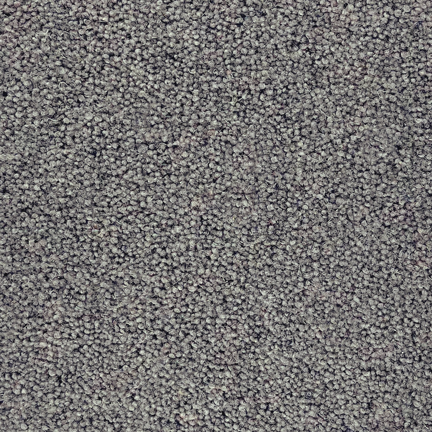 Lifestyle Floors Summit Twist Super 80% Wool Twist Carpet