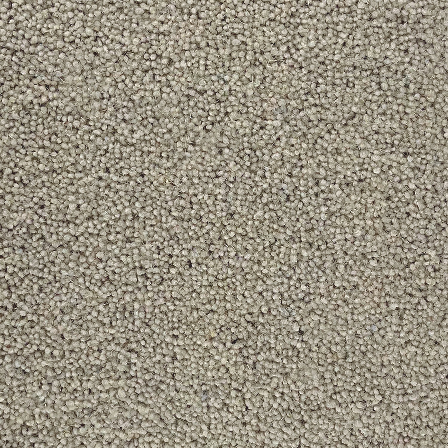 Lifestyle Floors Summit Twist Elite 80% Wool Twist Carpet