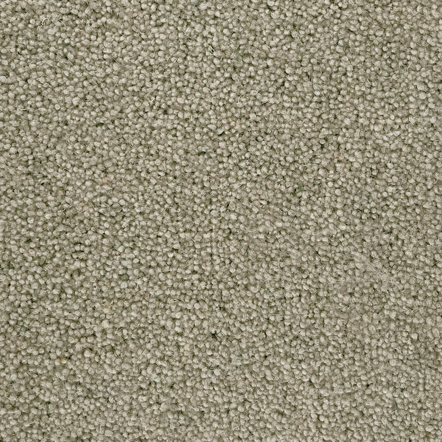 Lifestyle Floors Summit Twist Elite 80% Wool Twist Carpet