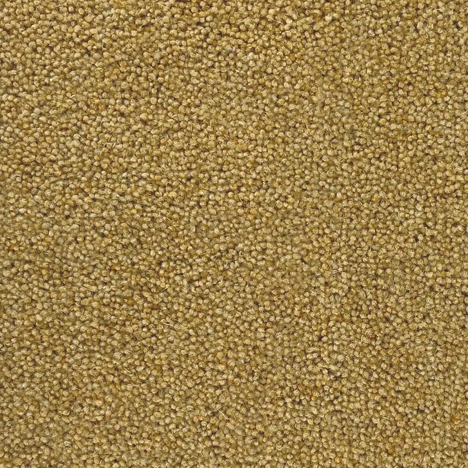 Lifestyle Floors Summit Twist Super 80% Wool Twist Carpet