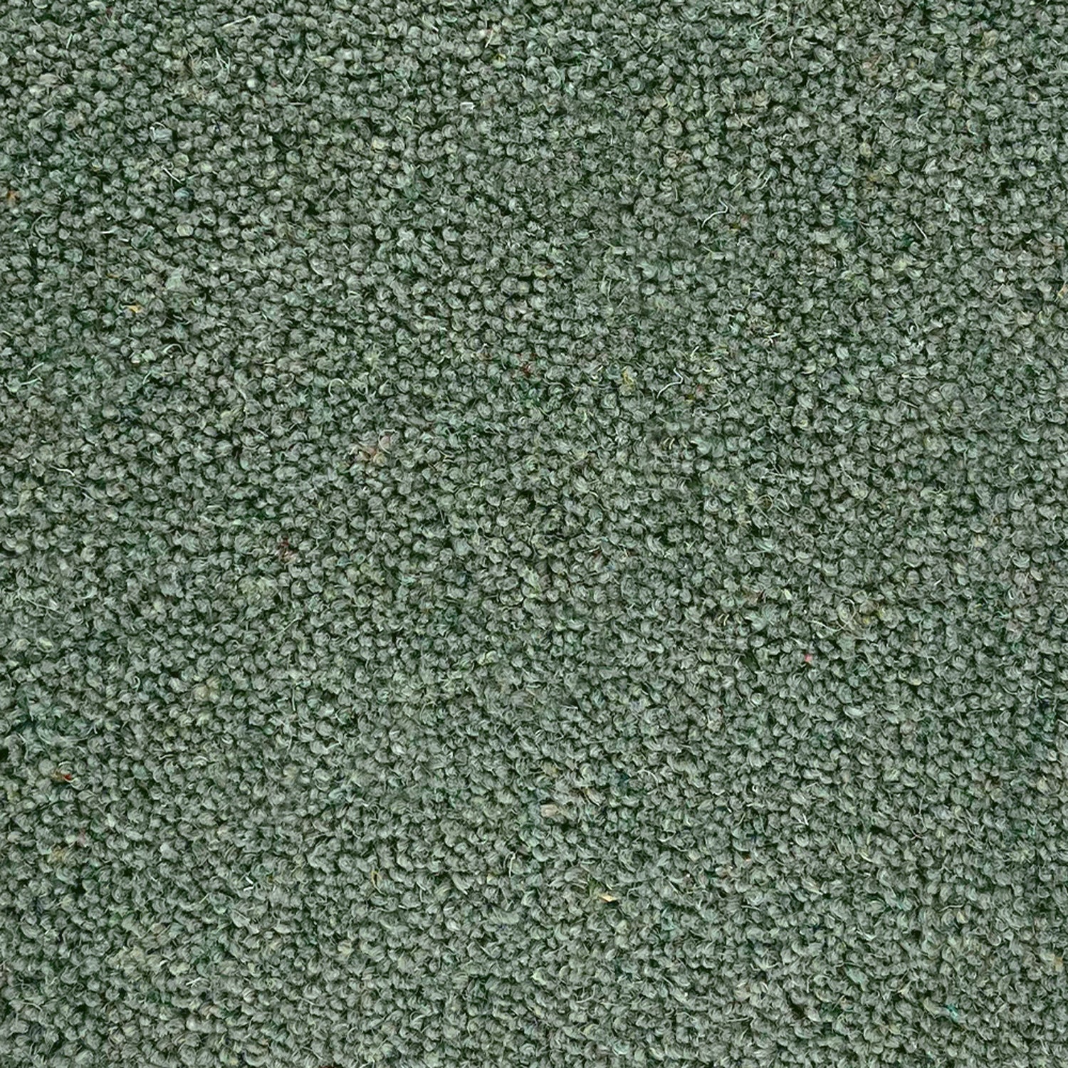 Lifestyle Floors Summit Twist Super 80% Wool Twist Carpet