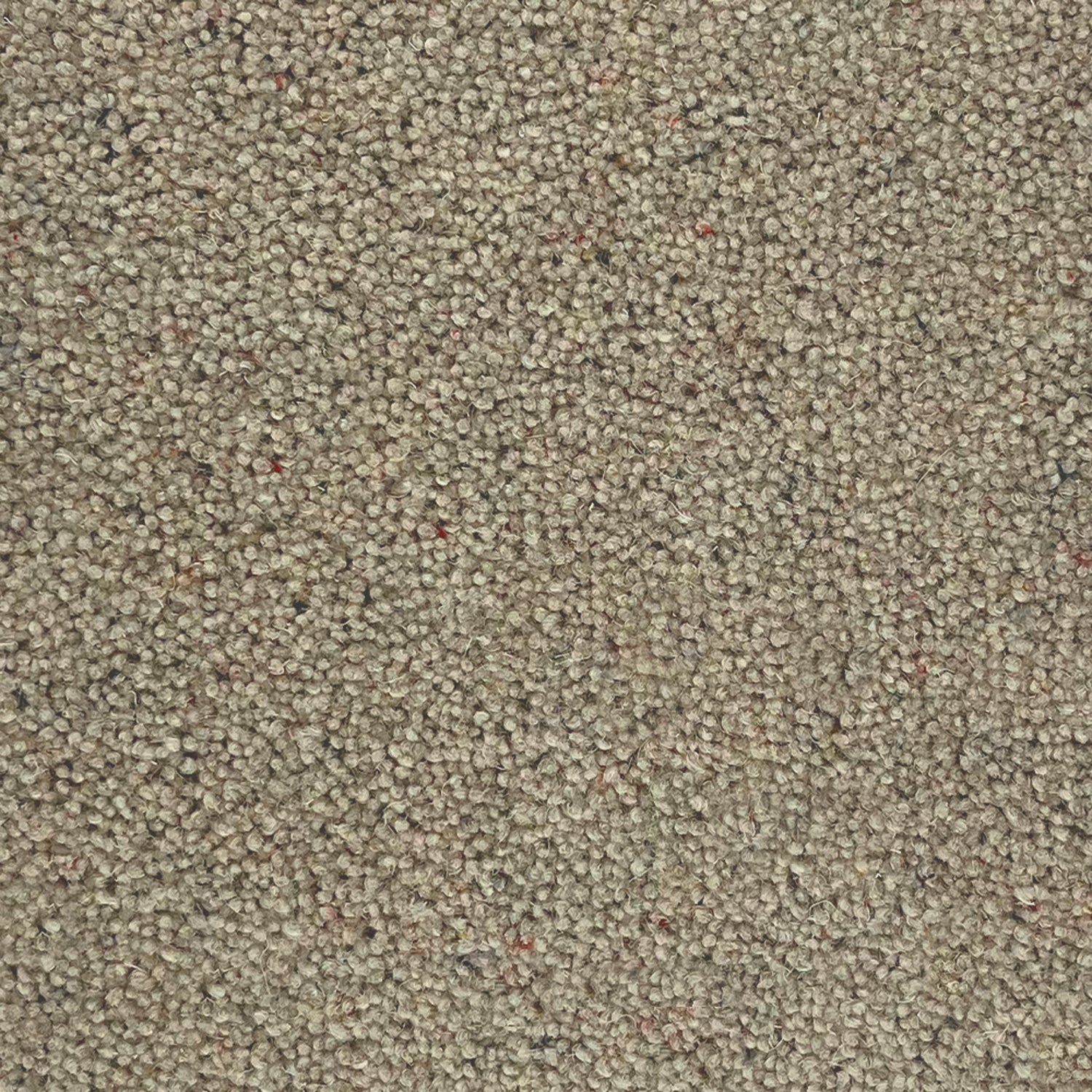 Lifestyle Floors Summit Twist Super 80% Wool Twist Carpet