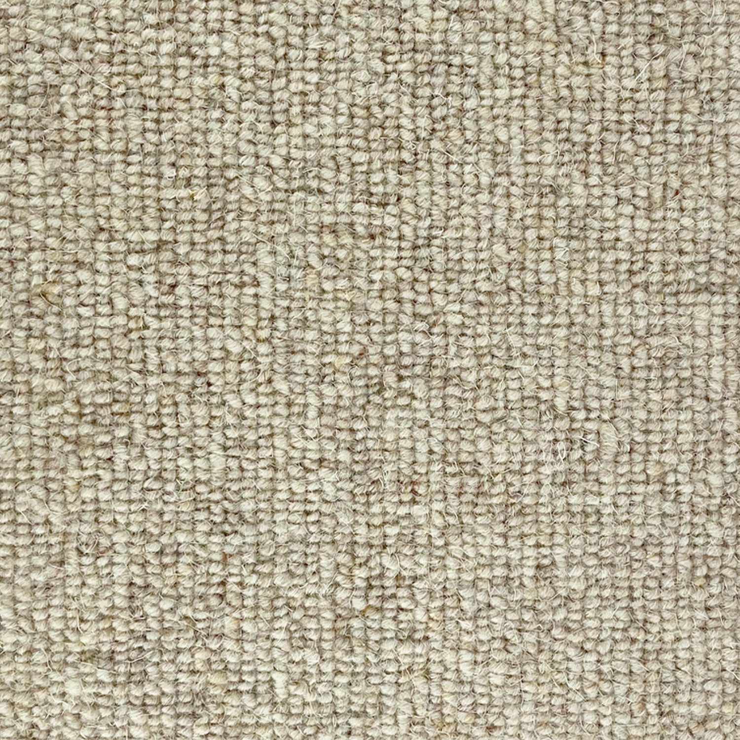 CFS Marlborough Plain 100% Wool Loop Carpet