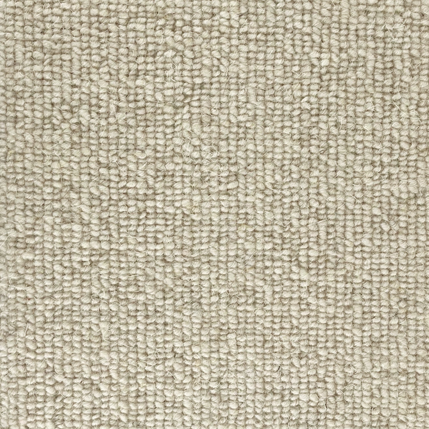 CFS Marlborough Plain 100% Wool Loop Carpet