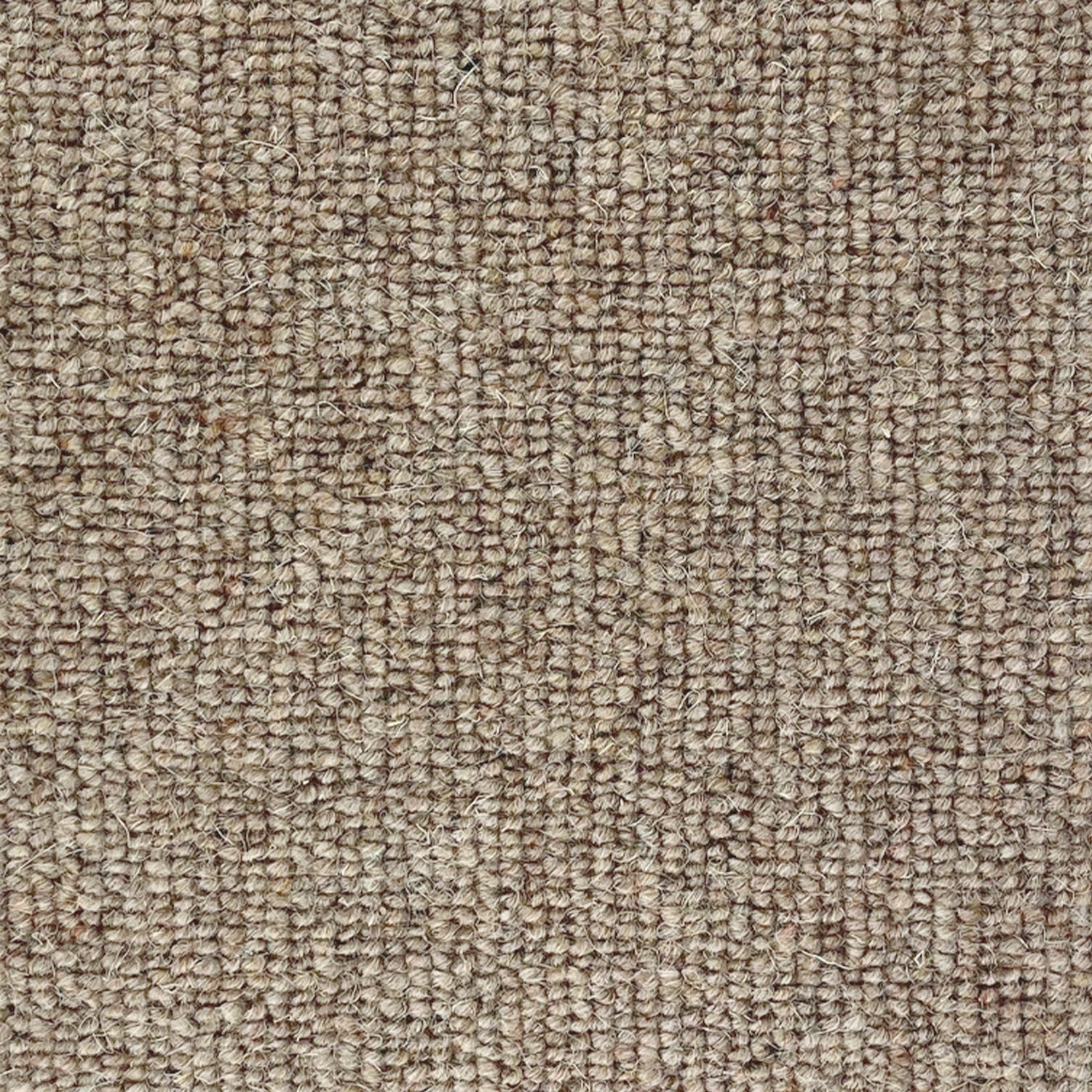 CFS Marlborough Plain 100% Wool Loop Carpet