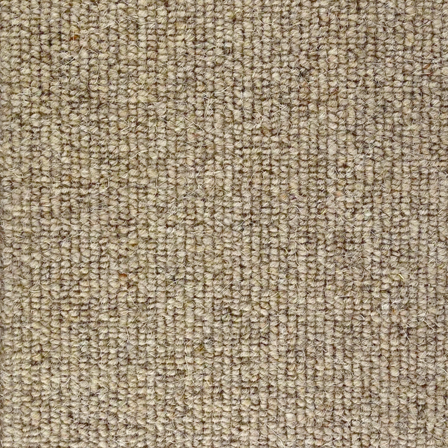 CFS Marlborough Plain 100% Wool Loop Carpet