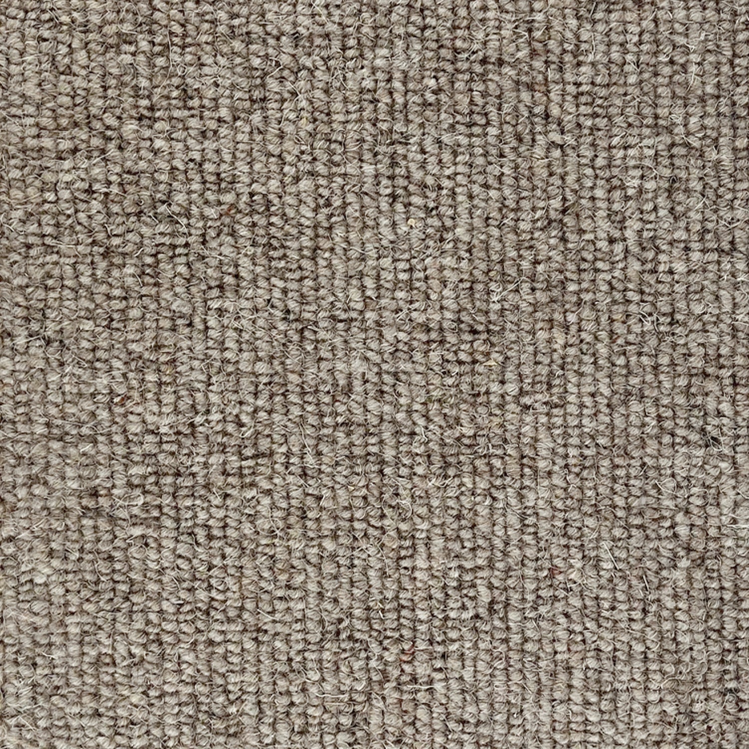 CFS Marlborough Plain 100% Wool Loop Carpet