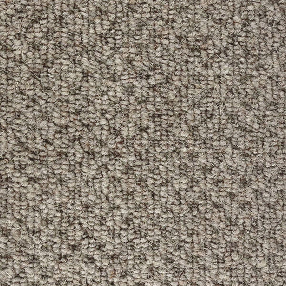CFS Marlborough Weave 100% Wool Loop Carpet