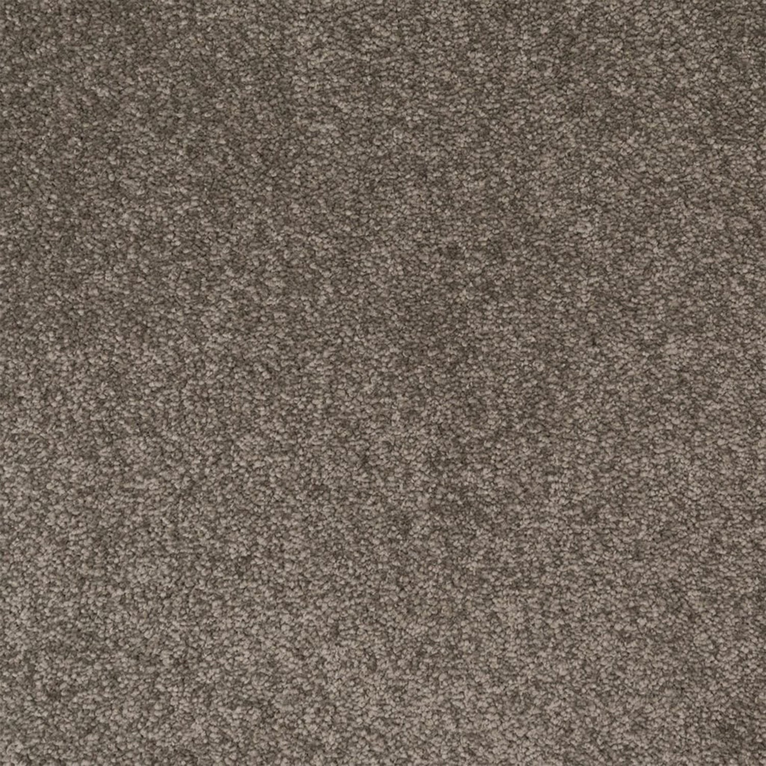 Penthouse Carpets Amorosa Twist Carpet