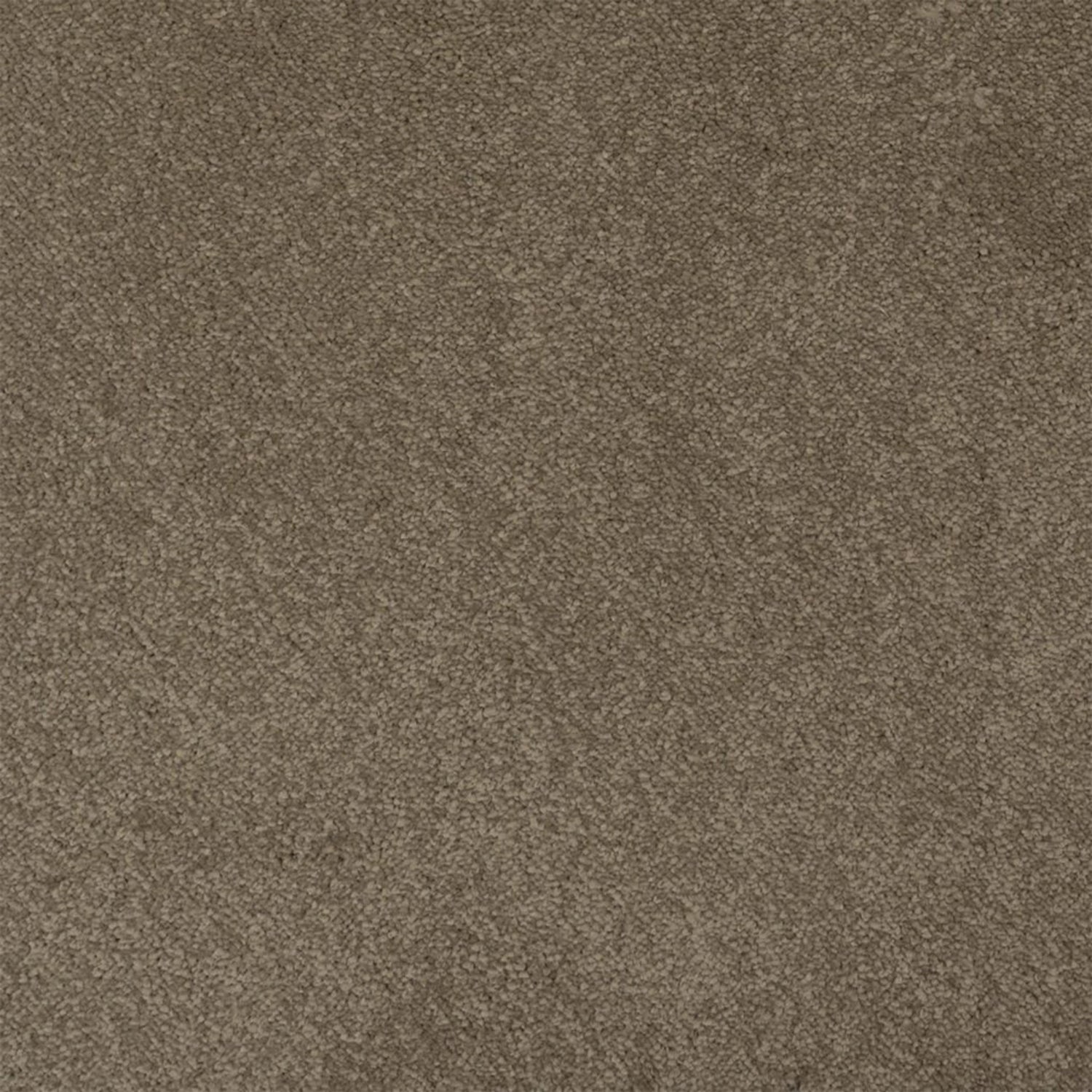Penthouse Carpets Amorosa Twist Carpet