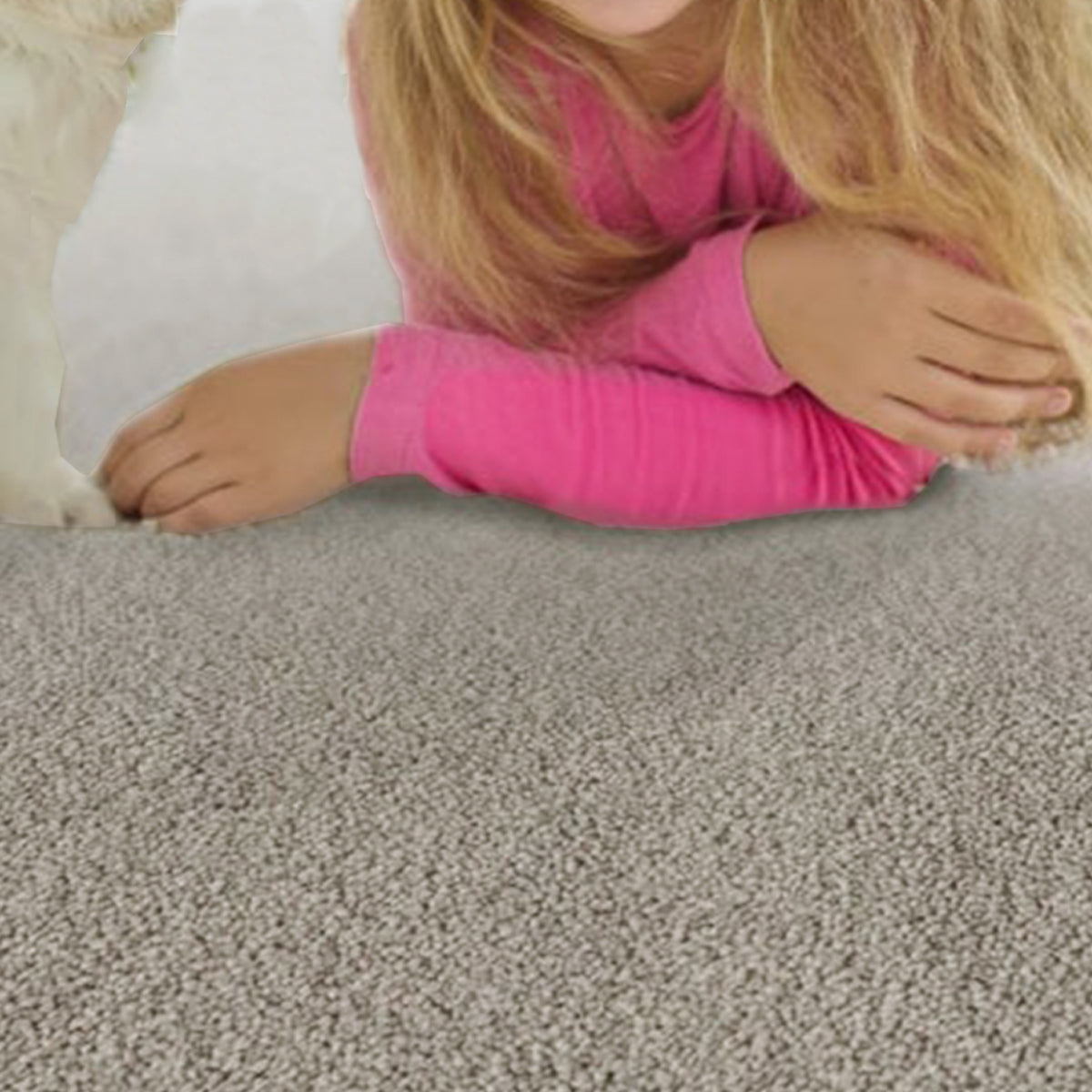 Penthouse Carpets